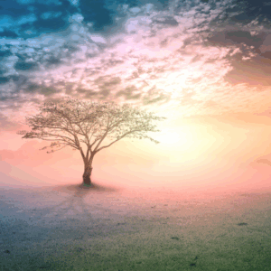 How Telling Your Story Helps Healing – and the Healing of Others